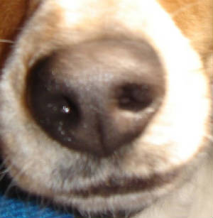 webassets/389.jpg