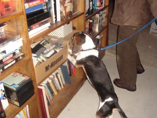 webassets/DSC00204.JPG